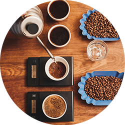 variedades café arábica para hostelería