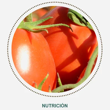 Nutricion