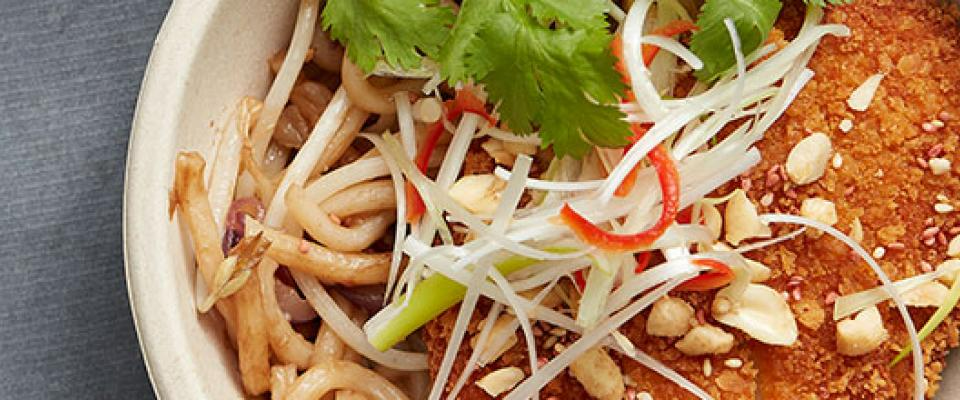 banner vegetarian-curry-katzu