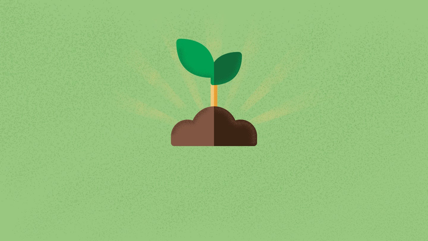 página sostenibilidad