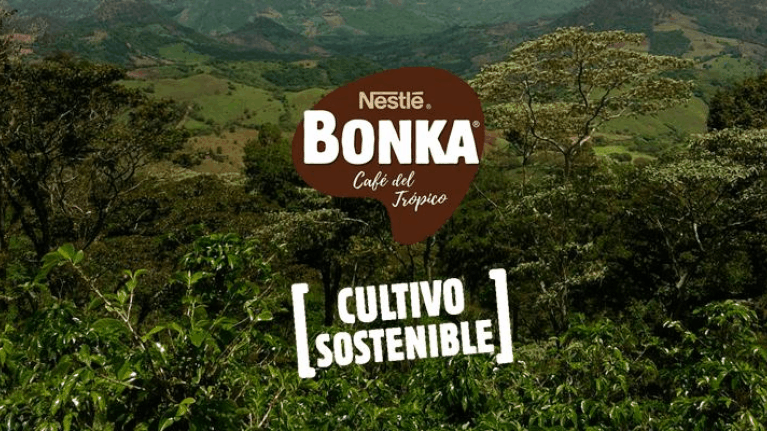 cabecera de articulo de bonka sostenible