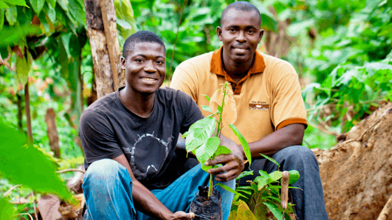 foto para el artículo cocoa plan nestlé