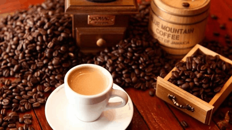 conoce a la perfección los atributos y características del café para bares que ofreces