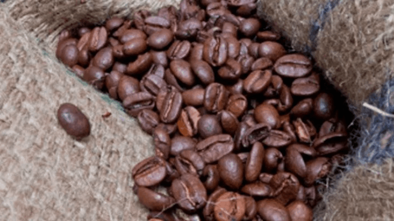 cuanto dura el café en grano