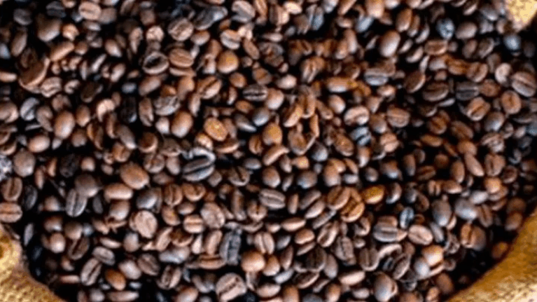 distribuidor de café cómo empezar tu negocio