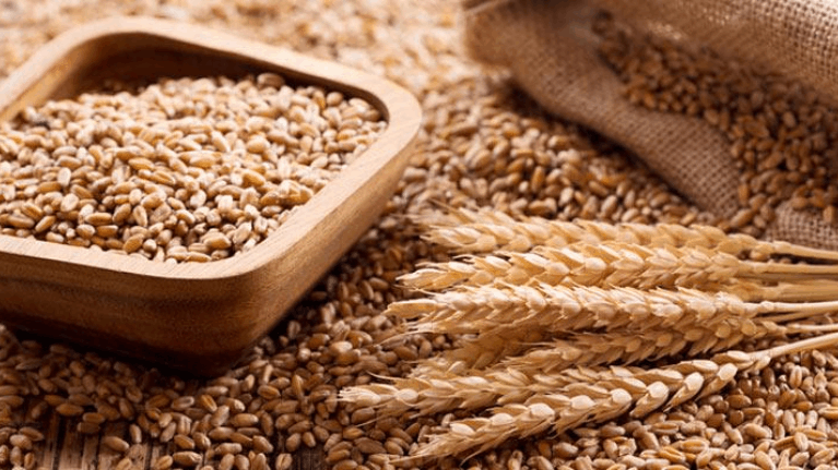 granos de cereales cabecera