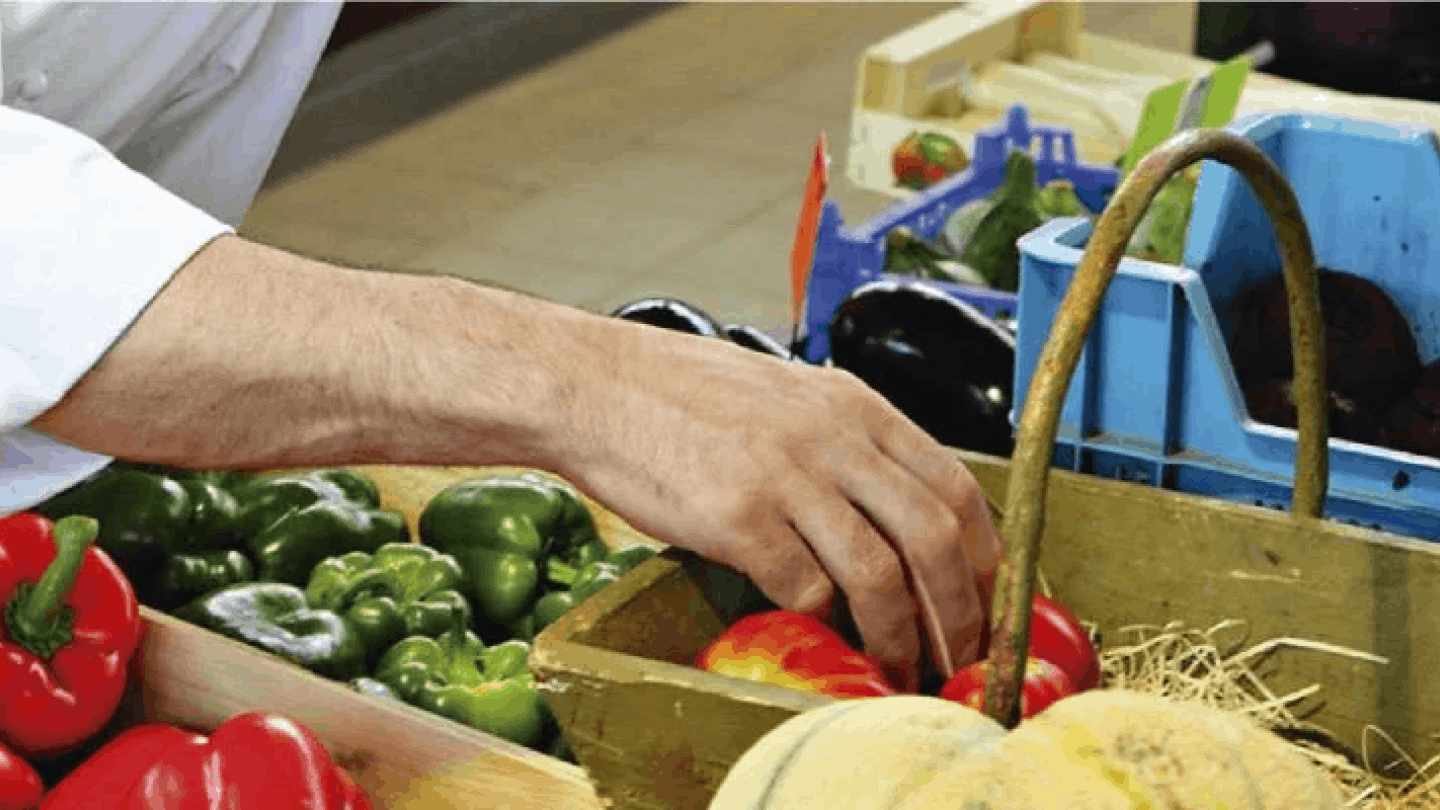 Nutricion Salud y Bienestar