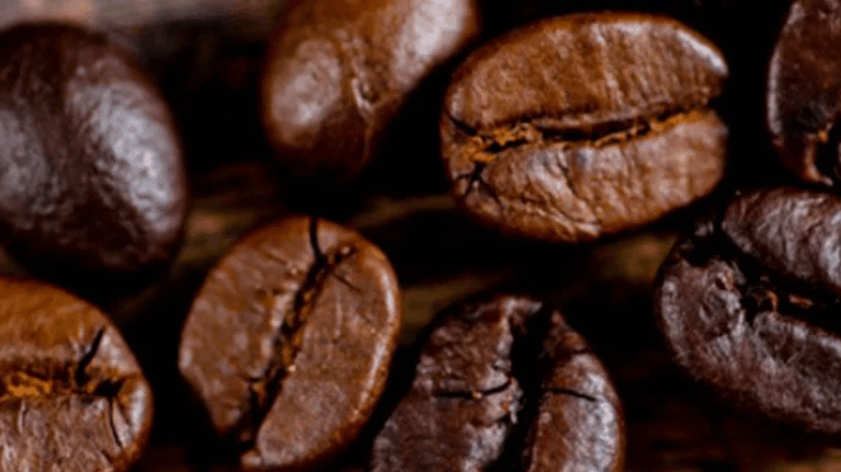 tipos de café arábica y robusta
