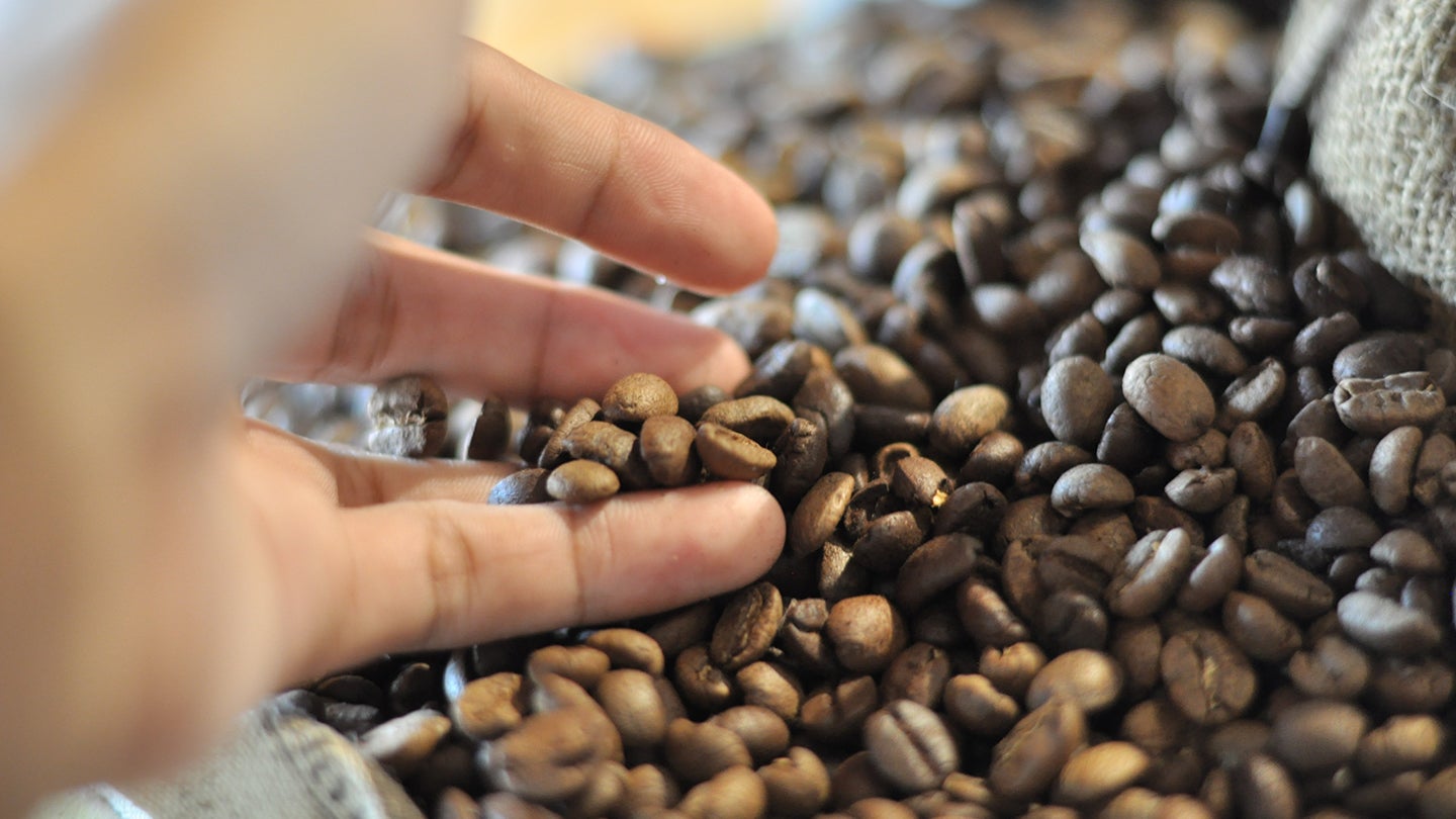 Comprar café al por mayor