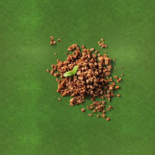 vegan mince