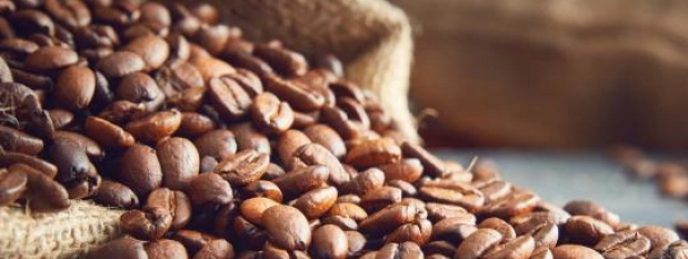 café en grano