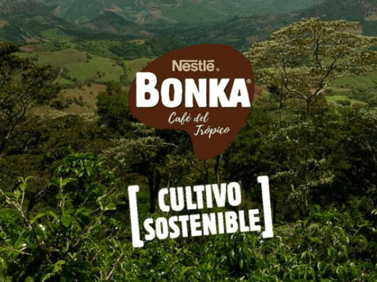 cabecera de articulo de bonka sostenible
