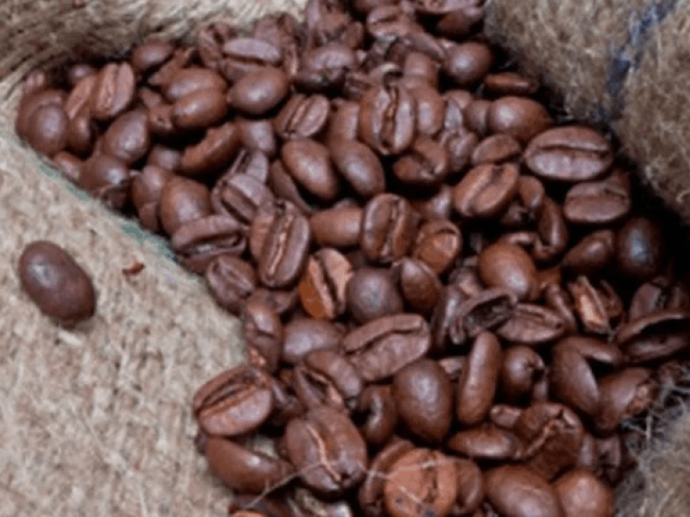 cuanto dura el café en grano