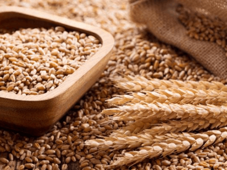 granos de cereales cabecera