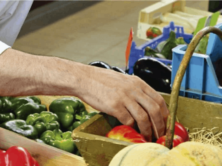 Nutricion Salud y Bienestar