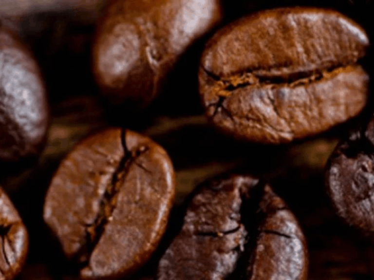 tipos de café arábica y robusta