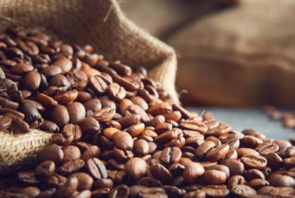 café en grano