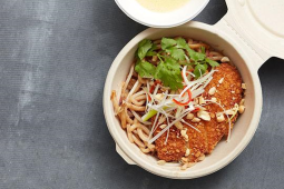 schnitzel vegetarian curry