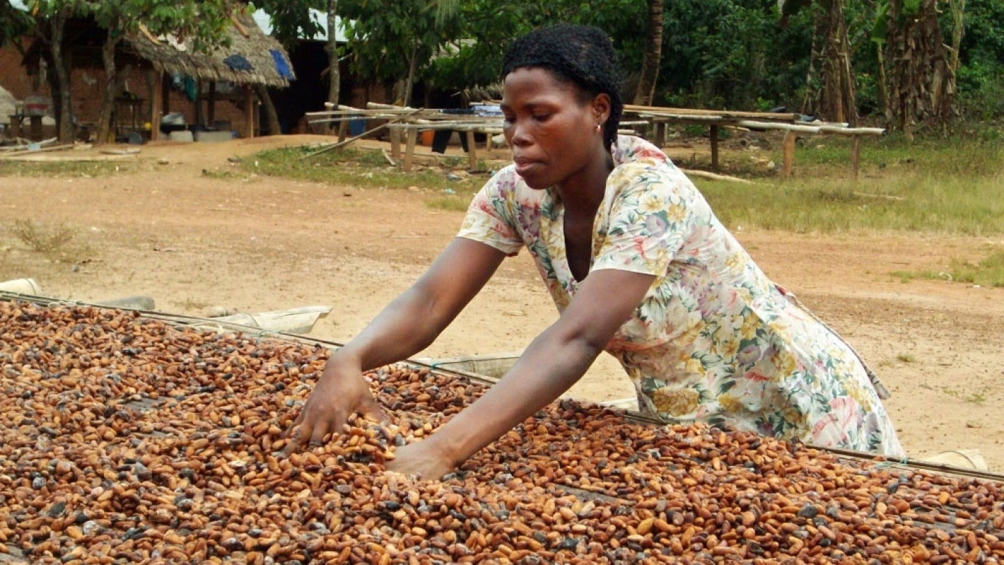 Mujer removiendo cacao