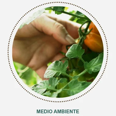medio