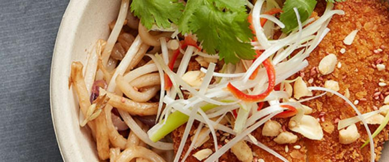 banner vegetarian-curry-katzu
